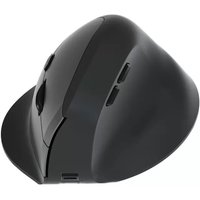 Equip Ergonomische Maus DM 2.4GHz+BT 6Button Rechts schwarz