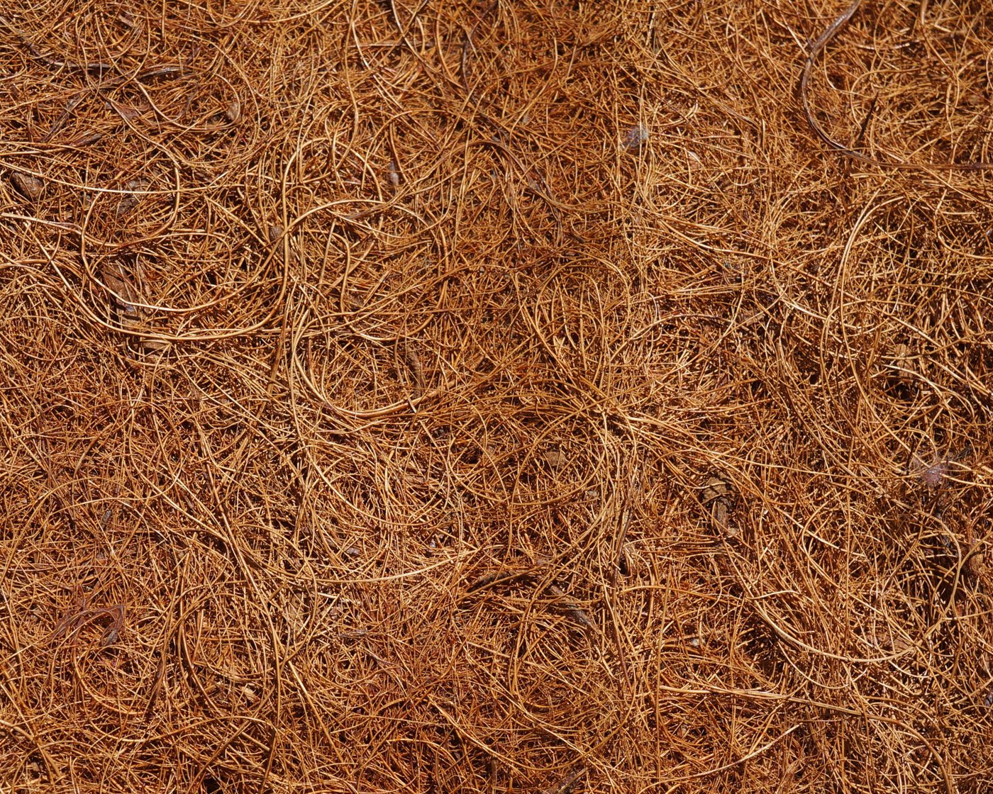 EraGreen Kokosmatte Kokosmatte 800g/m² 0,5m x 5m Winterschutz Pflanzen Kälteschutz Frosts, (Kokosmatte 800g/m² 0,5m x 5m, einseitig mit Naturlatex) – Bild 4 von 5