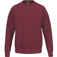 ERIMA Sweatshirt TS, Größe S in Braun