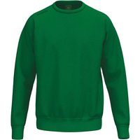ERIMA Sweatshirt TS, Größe XS in Grün