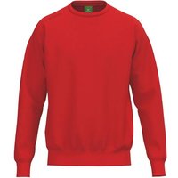 ERIMA TS Sweatshirt Unisex Erwachsene, Größe M in Rot