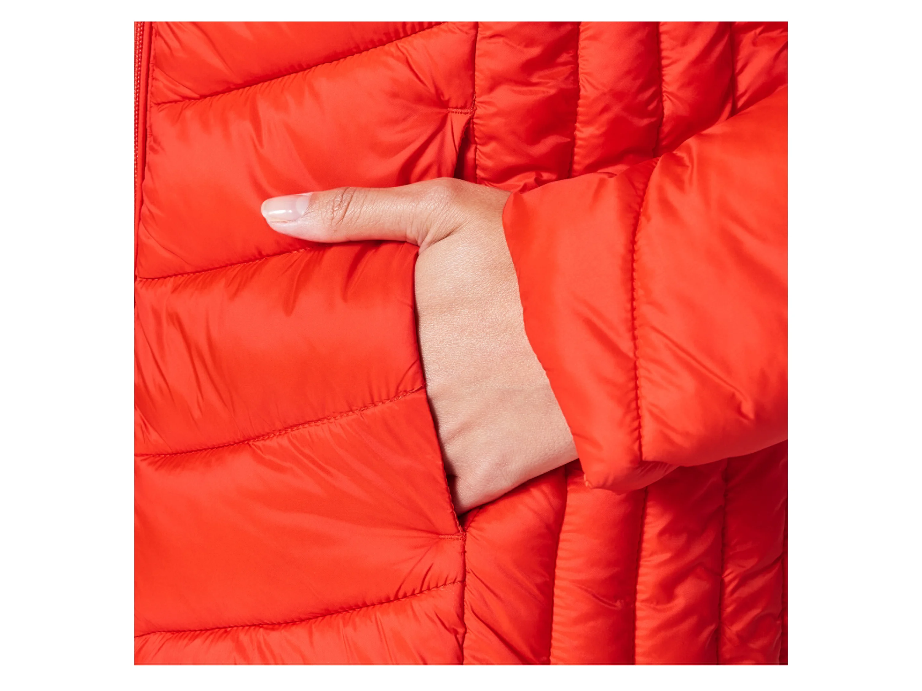 ESMARA® Damen Steppjacke (Rot, S(36/38)) – Bild 4 von 4