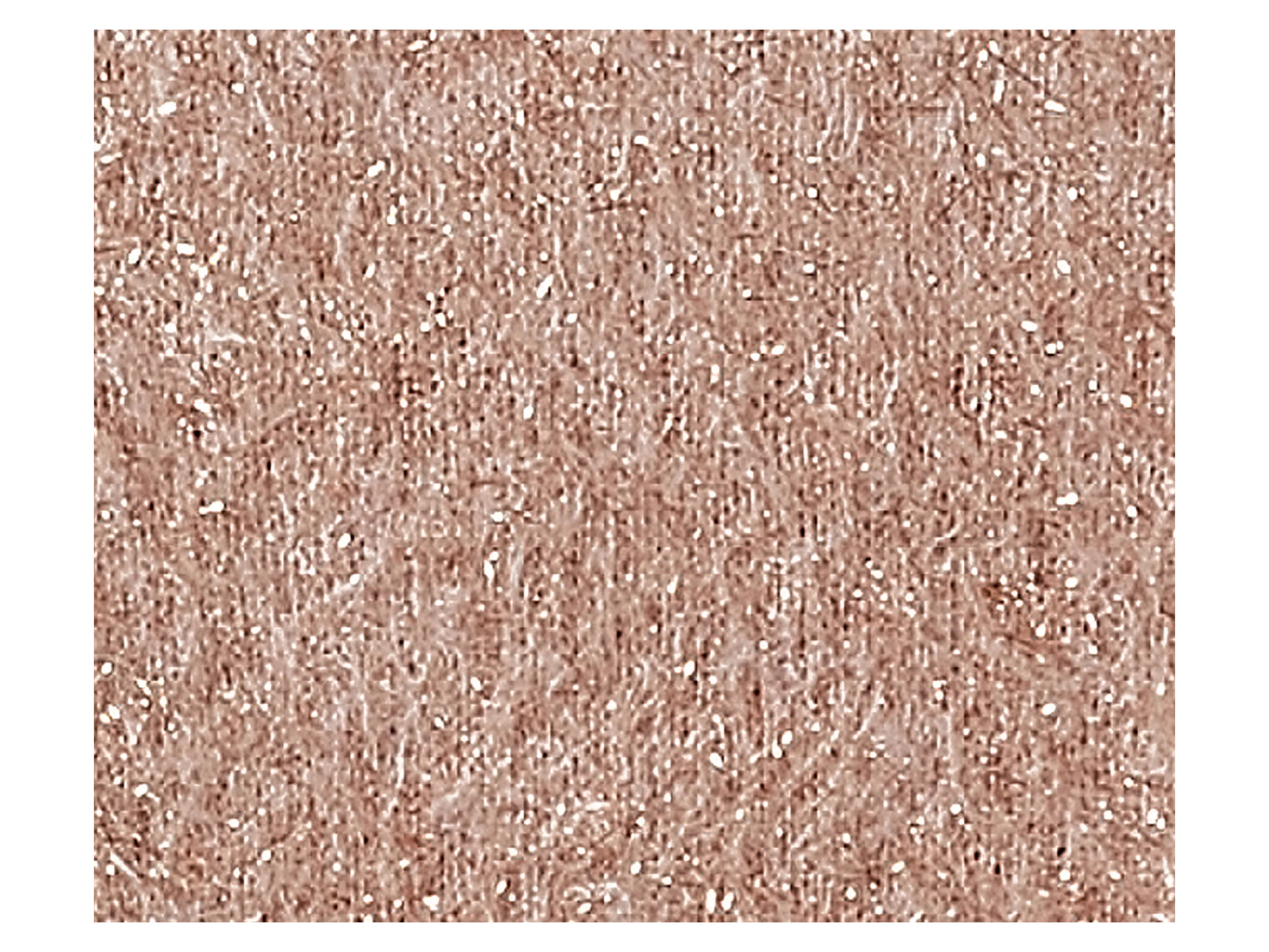 ESMARA® Damen Strickpullover (Beige, M(40/42)) – Bild 4 von 4