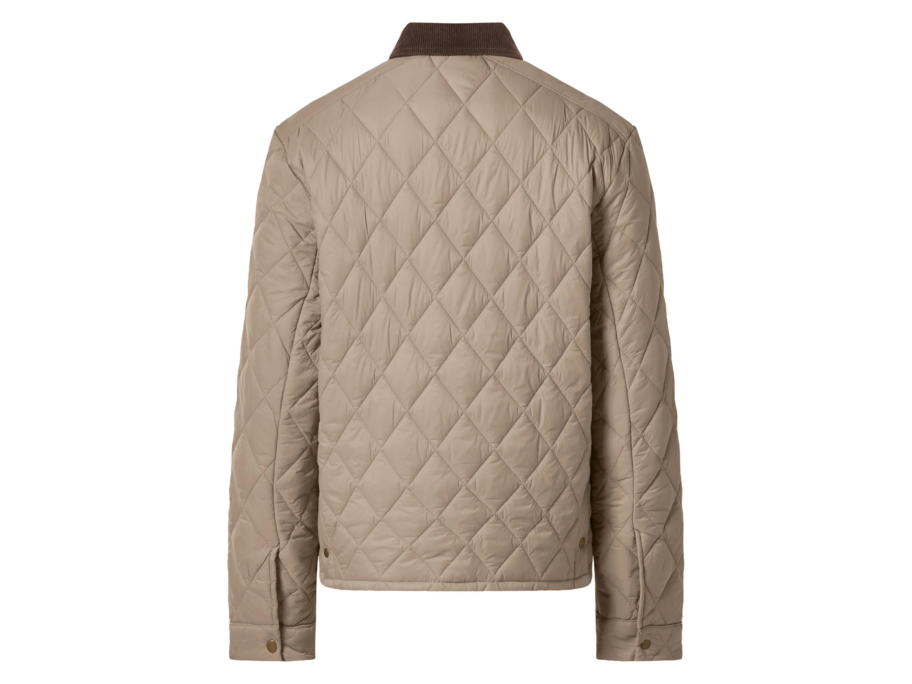 ESMARA MEN Herren Jacke gesteppt (Beige, M (48/50)) – Bild 3 von 4
