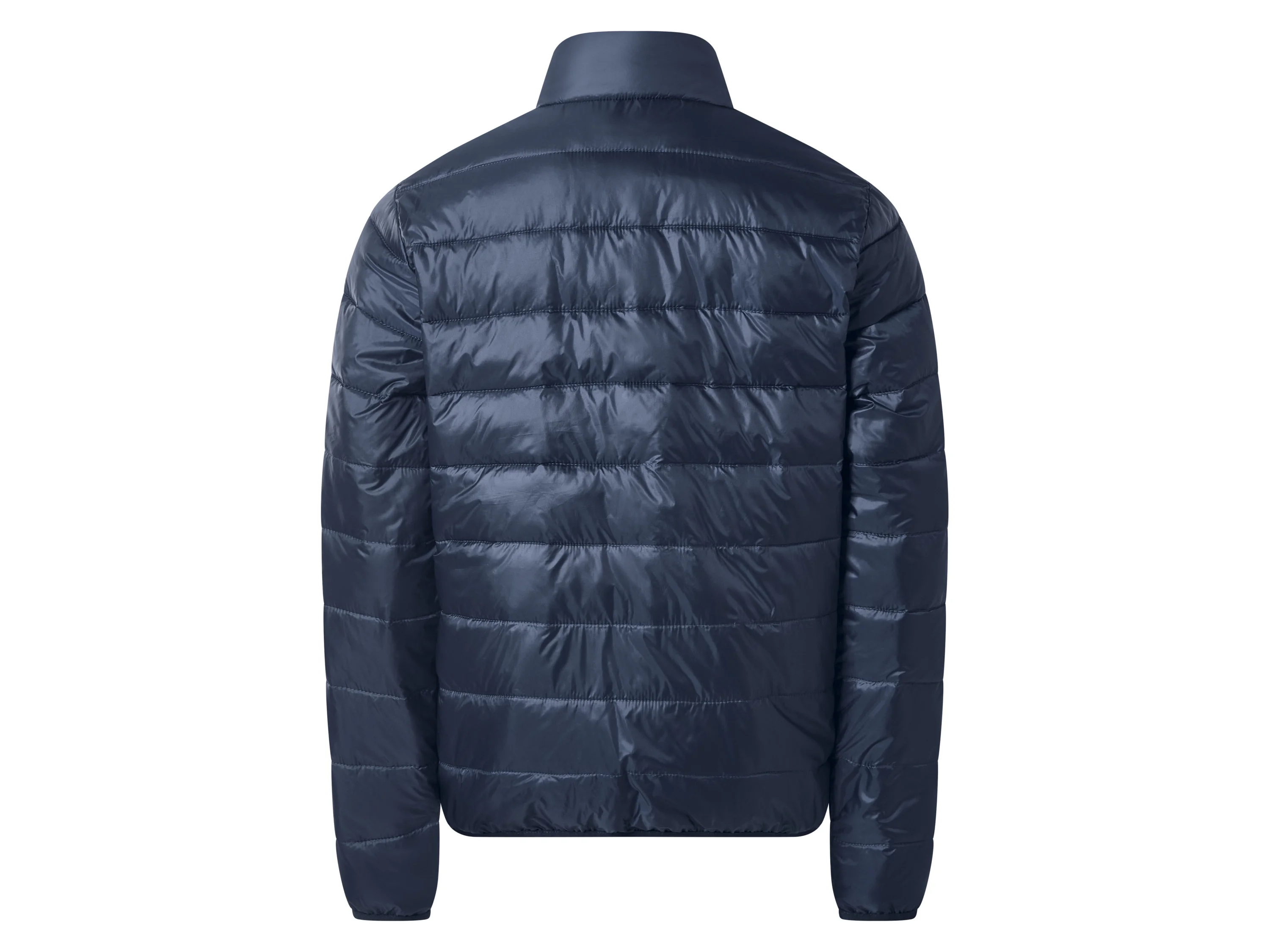 ESMARA MEN Herren Steppjacke (Navy, S (44/46)) – Bild 3 von 3
