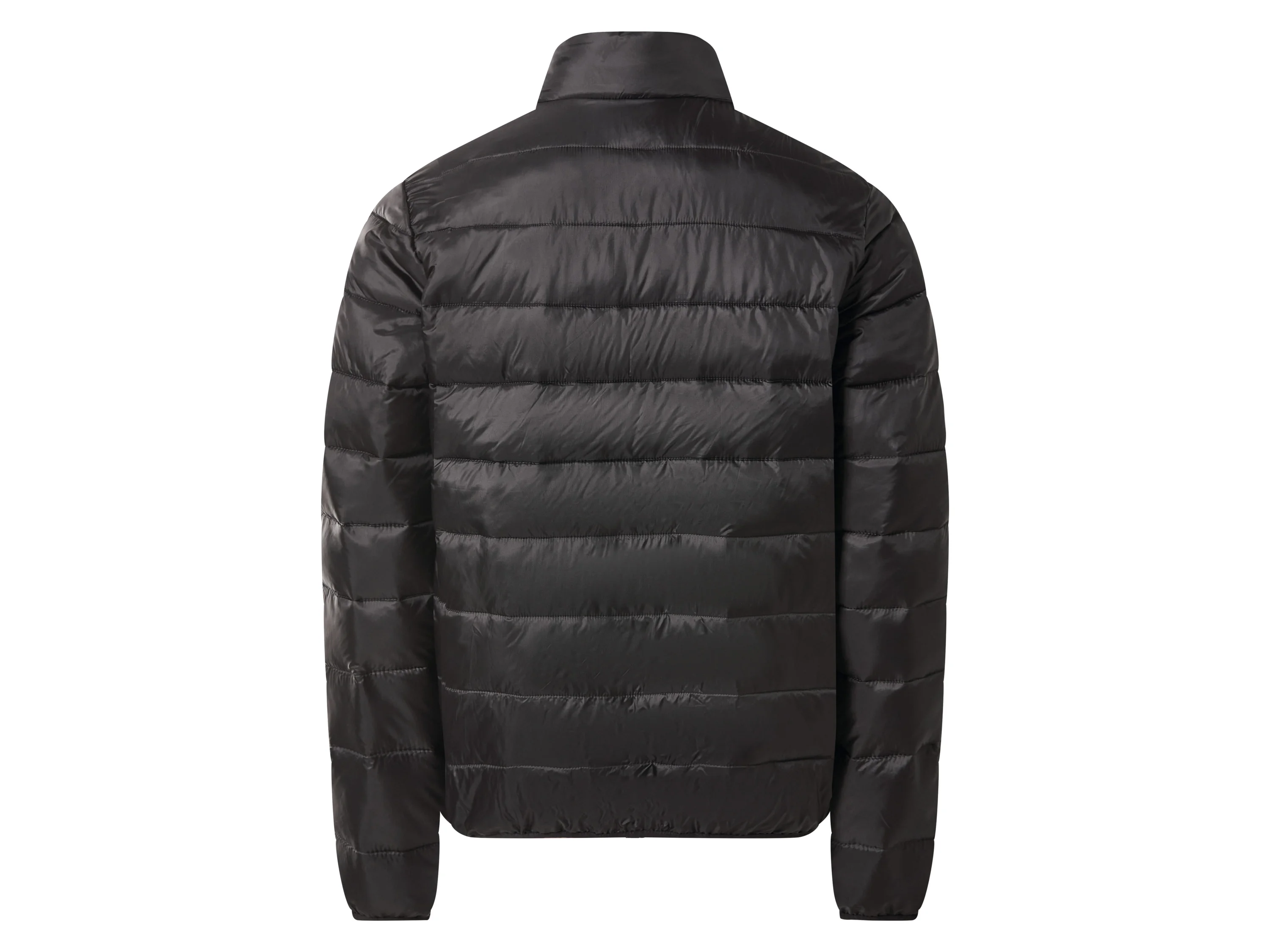 ESMARA MEN Herren Steppjacke (Schwarz, M (48/50)) – Bild 3 von 4