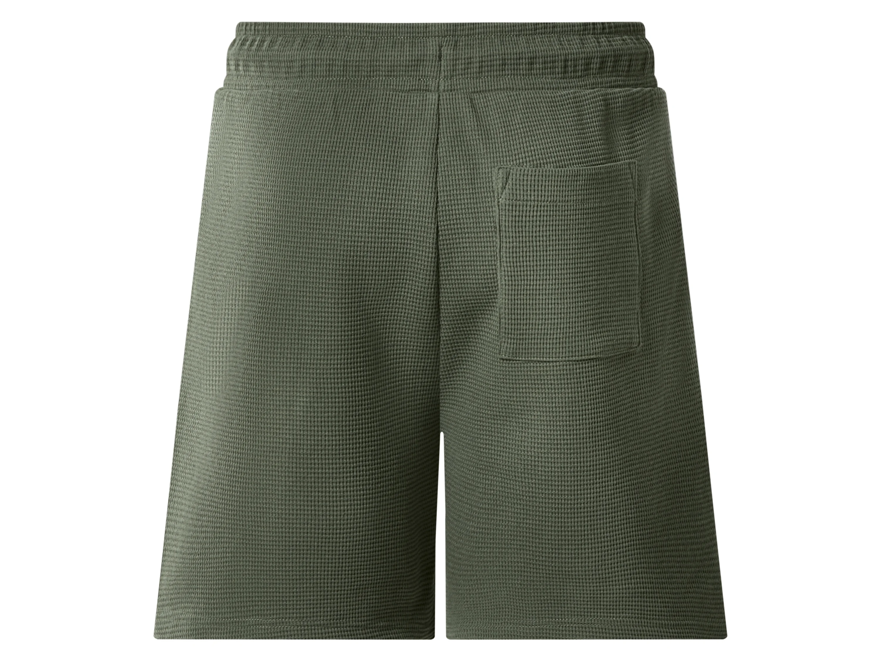 ESMARA MEN Herren Sweatshorts (Grün, L (52/54)) – Bild 2 von 2