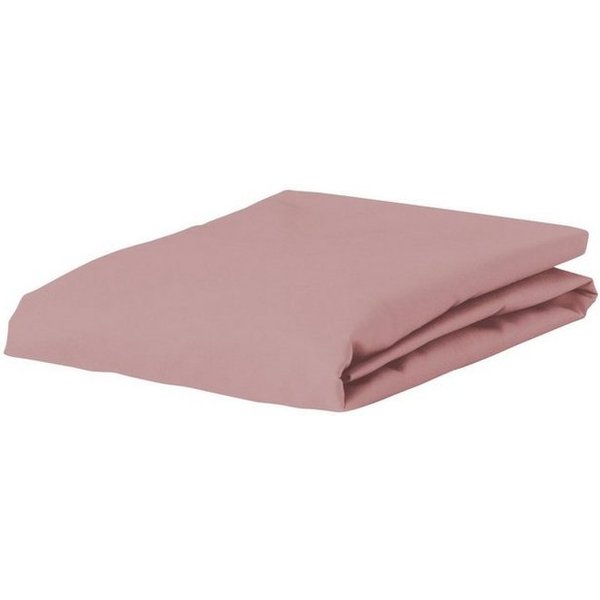 Essenza Spannbettlaken Premium Percale, Perkal, Gummizug: rundum, (1 Stück), Uni Baumwollperkal