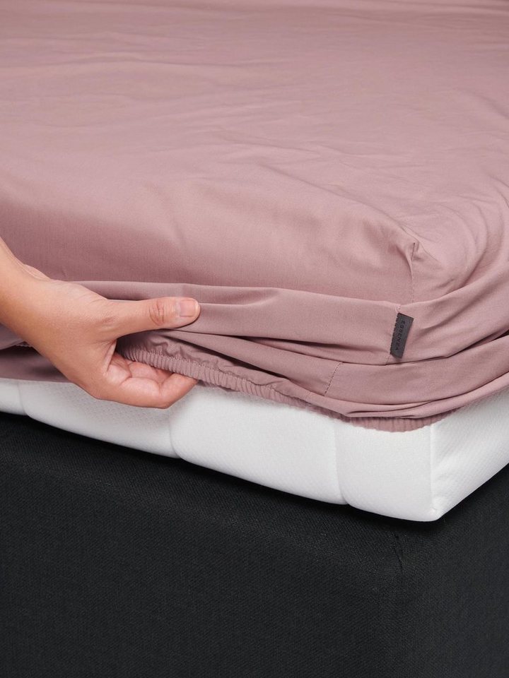 Essenza Spannbettlaken Premium Percale, Perkal, Gummizug: rundum, (1 Stück), Uni Baumwollperkal – Bild 2 von 5