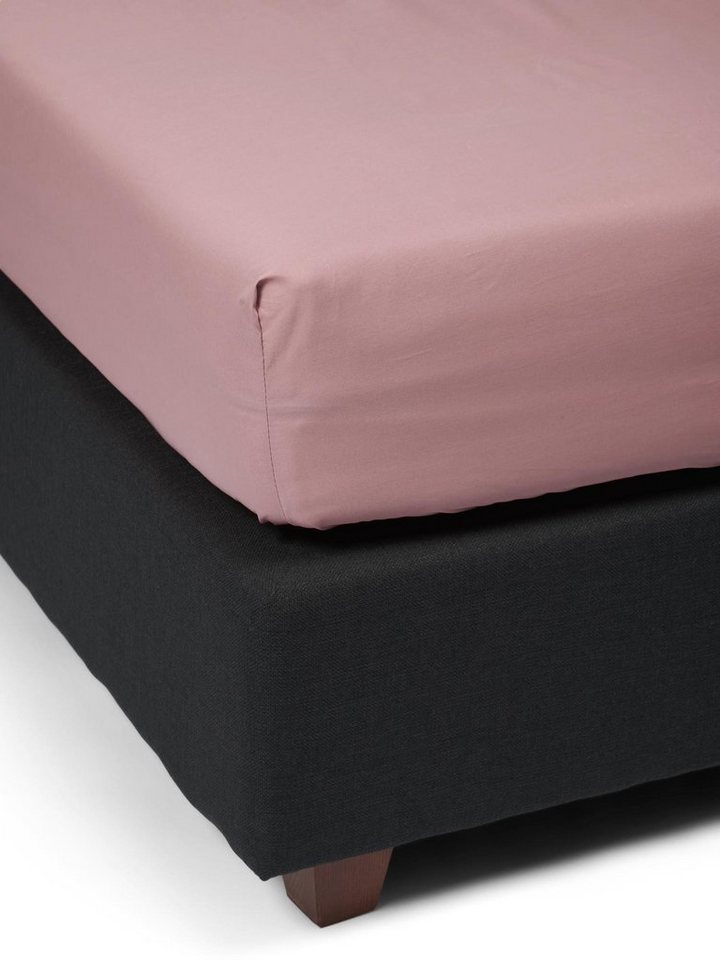 Essenza Spannbettlaken Premium Percale, Perkal, Gummizug: rundum, (1 Stück), Uni Baumwollperkal – Bild 3 von 5