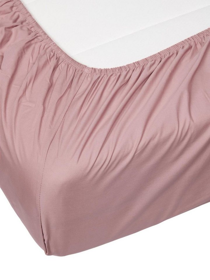 Essenza Spannbettlaken Premium Percale, Perkal, Gummizug: rundum, (1 Stück), Uni Baumwollperkal – Bild 5 von 5