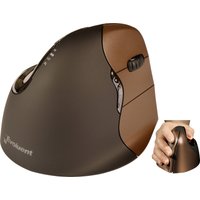 Evoluent Maus VerticalMouse 4 Small Drahtlos bl/brown USB retail