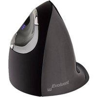 Evoluent Maus VerticalMouse D Rechts large wireless anthrazi retail