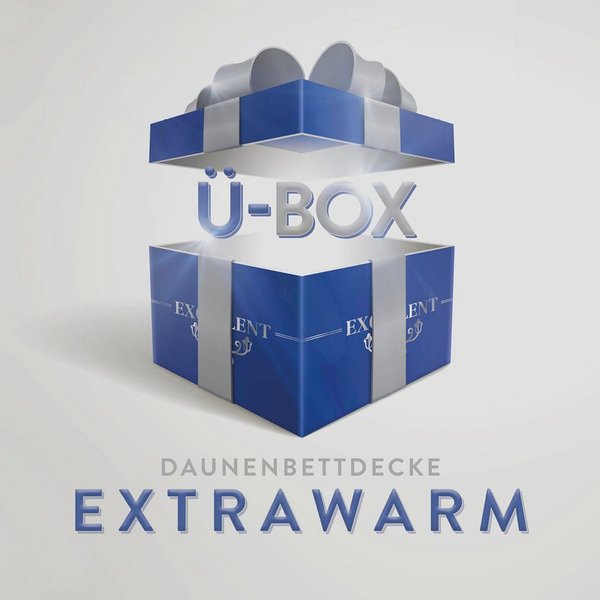 Excellent Daunenbettdecke Überraschungsbox, Füllung: 90% Daunen, 10% Federn, Bezug: Baumwolle, absoluter Sonderpreis, wegen Lagerräumung, Solange der Vorrat rei