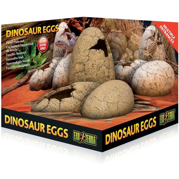 Exo Terra Terrariendeko Dinosaur Eggs - Fossiles Versteck