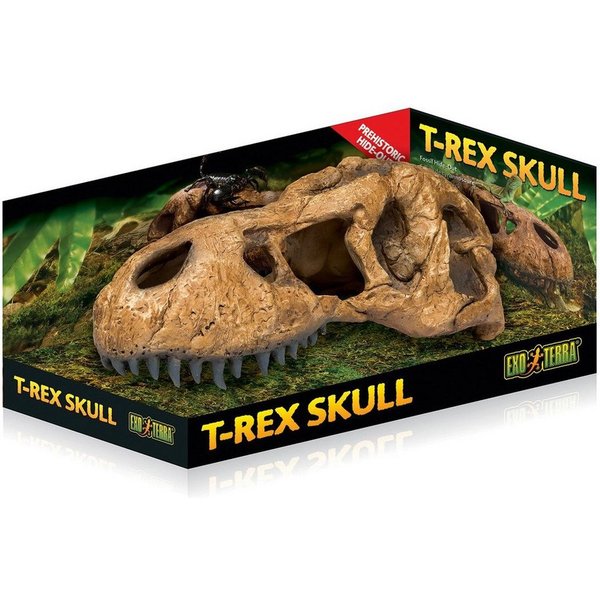 Exo Terra Terrariendeko T-Rex Skull - Fossiles Versteck