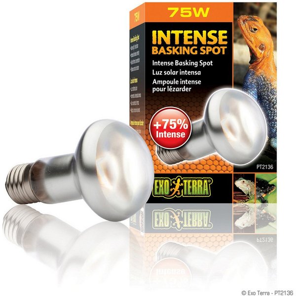 Exo Terra Terrarienleuchte Intense Basking Spot - Tageslichtlampe
