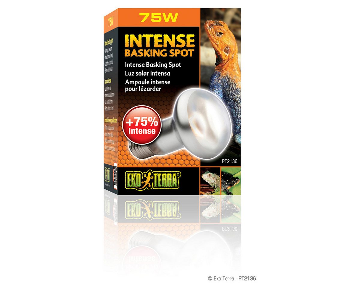 Exo Terra Terrarienleuchte Intense Basking Spot - Tageslichtlampe – Bild 2 von 3