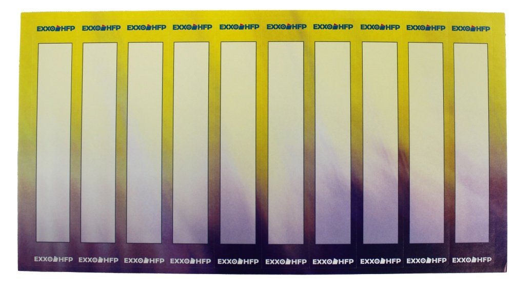 EXXO by HFP Ringbuchmappe 10 Stück Ringbuch A4, aus PP-Folie, Perlfarben, mit 2er Rundringmechanik und selbstklebendem Rückenschild – Bild 5 von 5