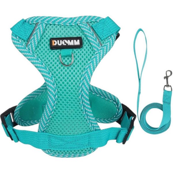 Eyecatcher Hunde-Geschirr Verstellbares Hunde-Geschirr-Set aus atmungsaktivem Mesh mit Leine (4