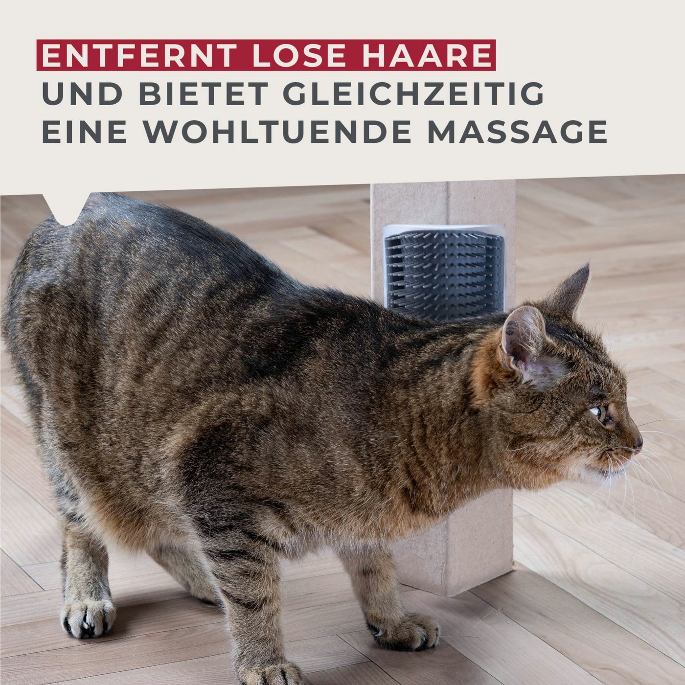 FACKELMANN Fellbürste Eck-Massagebürste, Tierhaarbürste, Katzenbürste, Massagebürste – Bild 3 von 5