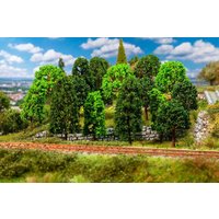 15 Laubbäume, sortiert