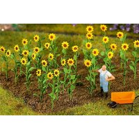 16 Sonnenblumen