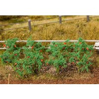 18 Tomatenpflanzen