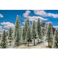 18 Wintertannen