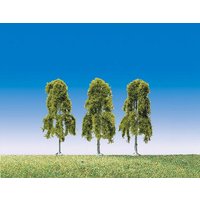 3 Hängebirken Top Serie