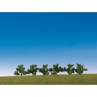 6 Büsche, grün
