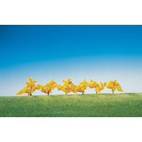 6 Forsythien, gelb blühend