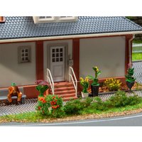 6 Topfpflanzen