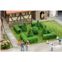 Buchsbaum-Set