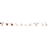 Hühner, Enten und Gänse