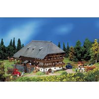 Schwarzwald-Hof