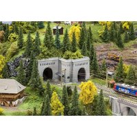 Tunnelportale Simplon Nord und Süd