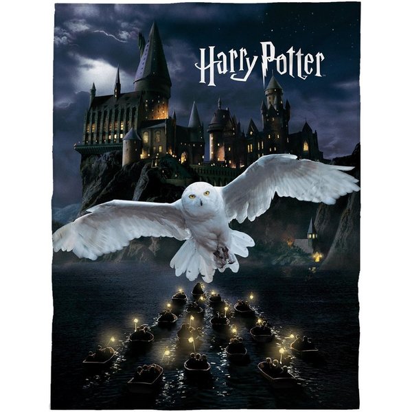 Kinderdecke Super flauschige Harry Potter Kuscheldecke Motiv "Hedwig" 150x200 cm, Familando, mit Schriftzug und Zauberschule Hogwarts