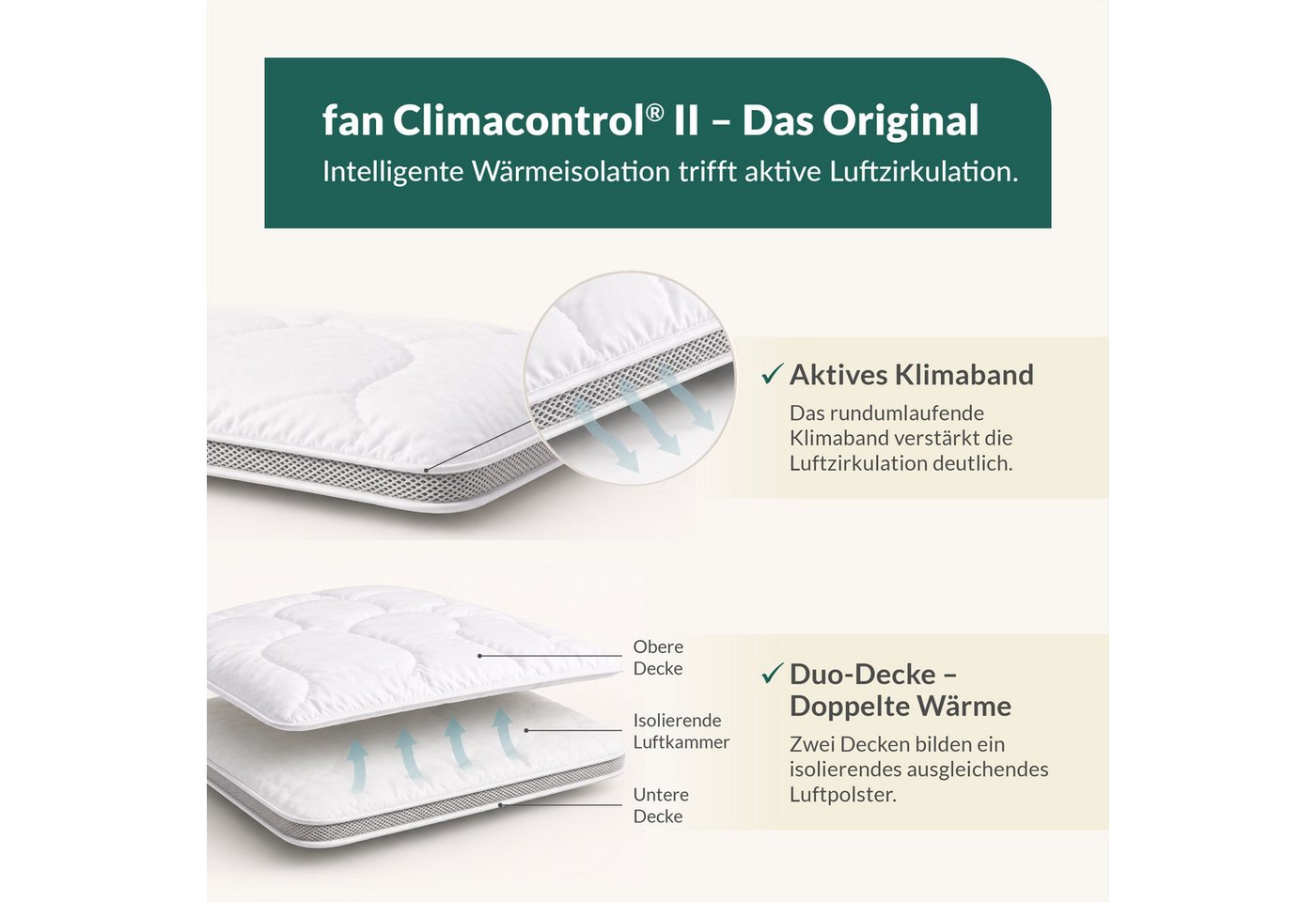 fan Microfaserbettdecke Climacontrol® II, Bettdecken für den Winter, Made in Germany, Füllung: 100% Polyester, Bezug: 100% Baumwolle, Bettdecke 135x200 cm, 155x – Bild 2 von 5