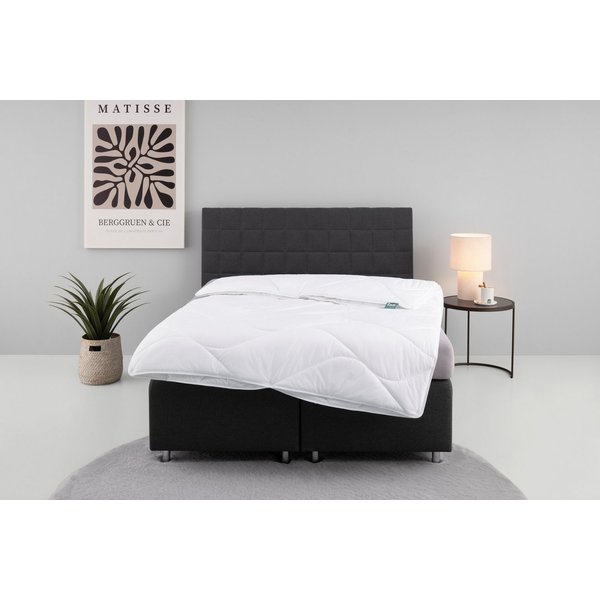 fan Microfaserbettdecke Microfaser kochfest, Bettdecken für Sommer und Winter, Decke, Füllung: 100% Polyester, Bezug: 100% Polyester, Bettdecke 135x200 cm, 155x