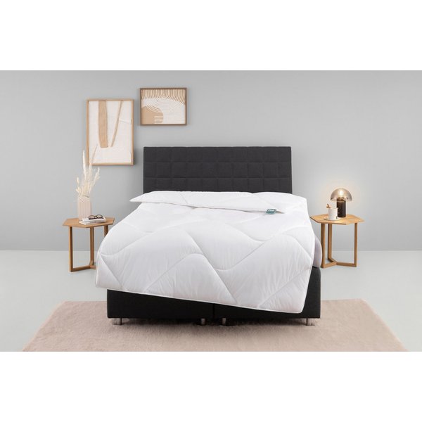 fan Microfaserbettdecke Microfaser kochfest, Bettdecken für Sommer und Winter, Decke, Füllung: 100% Polyester, Bezug: 100% Polyester, Bettdecke 135x200 cm, 155x