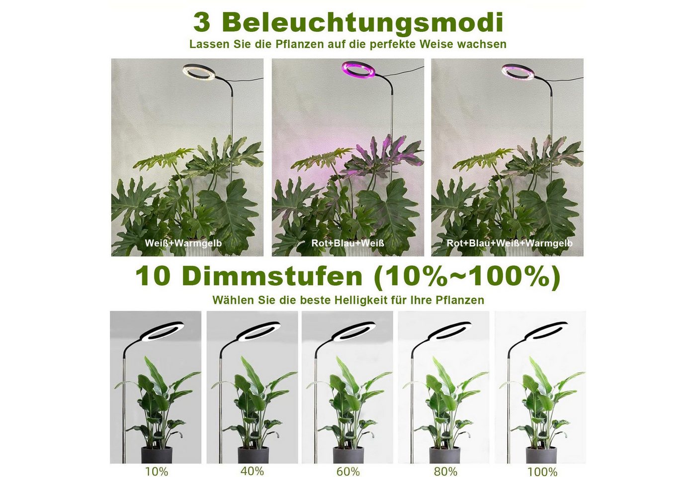 feinlux Pflanzenlampe – Bild 5 von 5