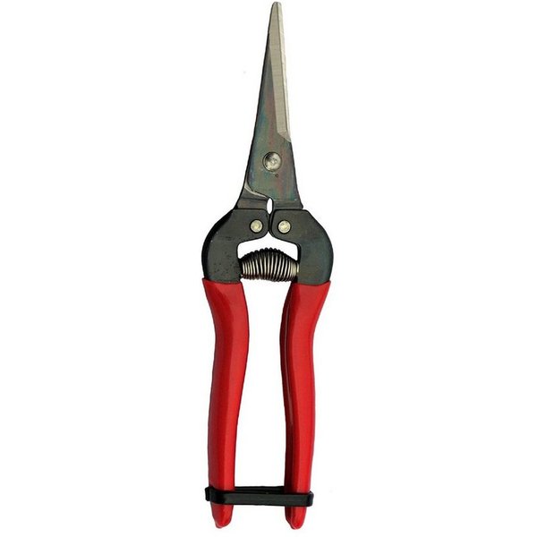 FELCO Gartenschere Leseschere ARS 300L Ernteschere Floristenschere Traubenschere