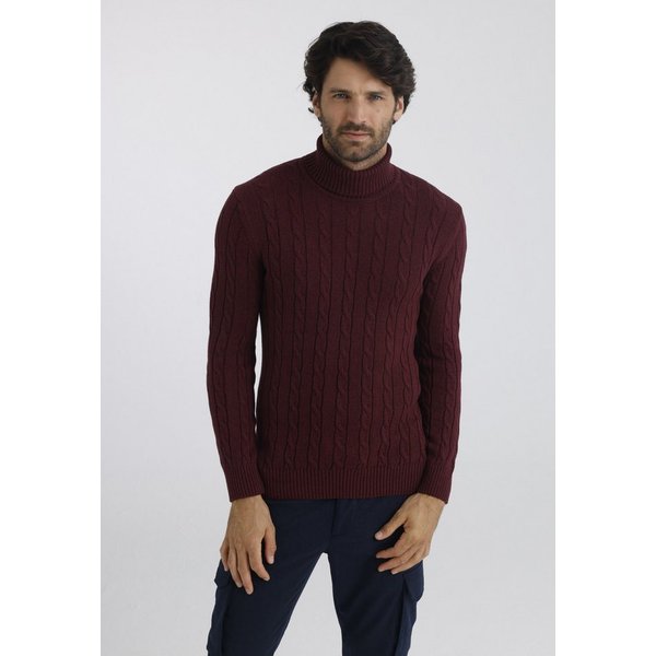 Felix Hardy Rollkragenpullover Rollkragenpullover mit Zopfmuster