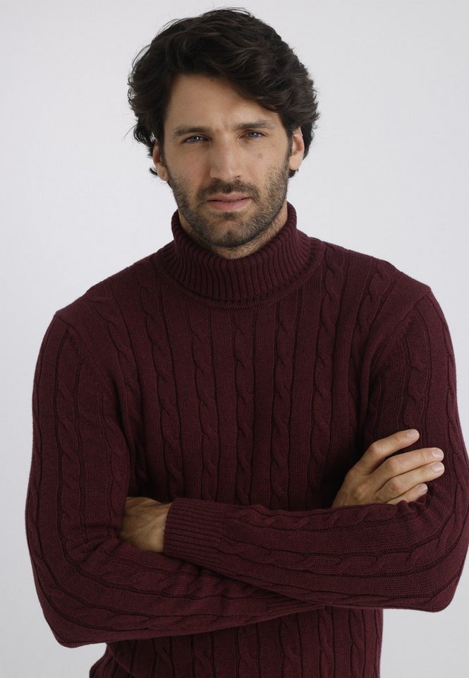 Felix Hardy Rollkragenpullover Rollkragenpullover mit Zopfmuster – Bild 2 von 3