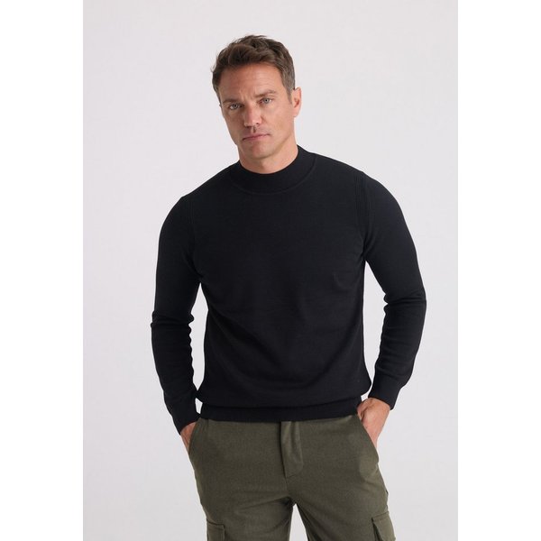 Felix Hardy Rollkragenpullover Pullover mit Stehkragen