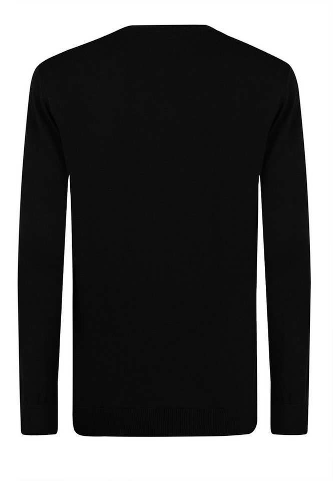 Felix Hardy V-Ausschnitt-Pullover Pullover mit V-Ausschnitt 2er-Pack (Set) – Bild 3 von 5