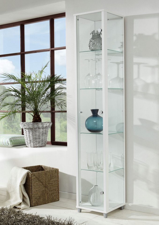 fif möbel Vitrine OPTIMA Höhe ca. 172 cm Standvitrine/Glasvitrine 1x Glastür,perfekt für Sammler,Sammlervitrine – Bild 2 von 5