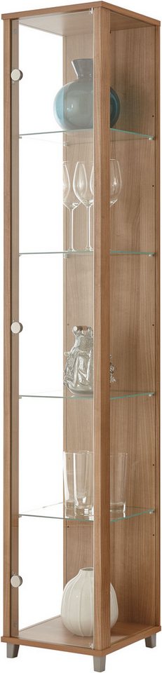 fif möbel Vitrine OPTIMA Höhe ca. 172 cm Standvitrine/Glasvitrine 1x Glastür,perfekt für Sammler,Sammlervitrine – Bild 2 von 5
