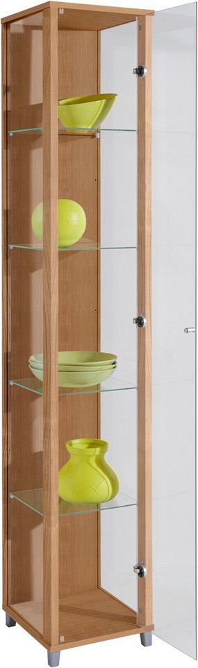 fif möbel Vitrine OPTIMA Höhe ca. 172 cm Standvitrine/Glasvitrine 1x Glastür,perfekt für Sammler,Sammlervitrine – Bild 5 von 5